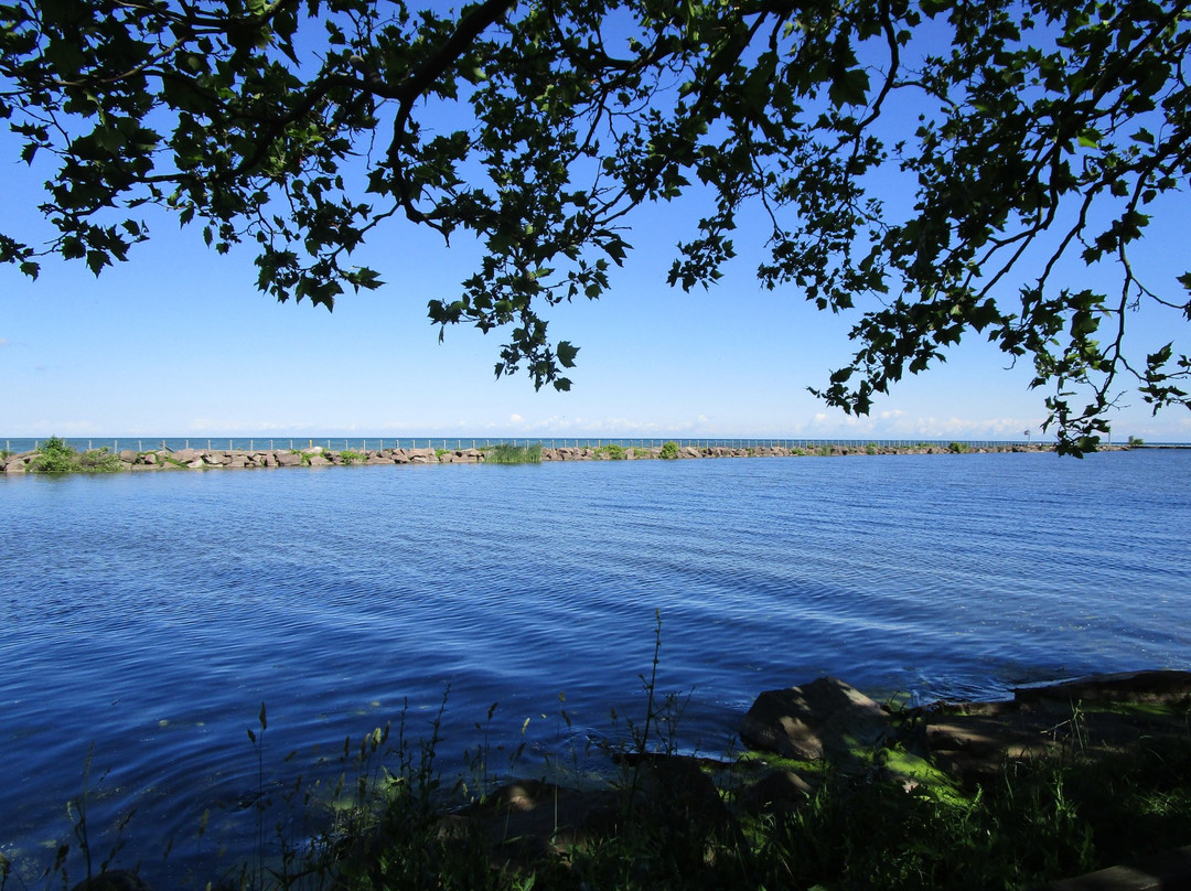 Oak Orchard Lighthouse Museum景点图片
