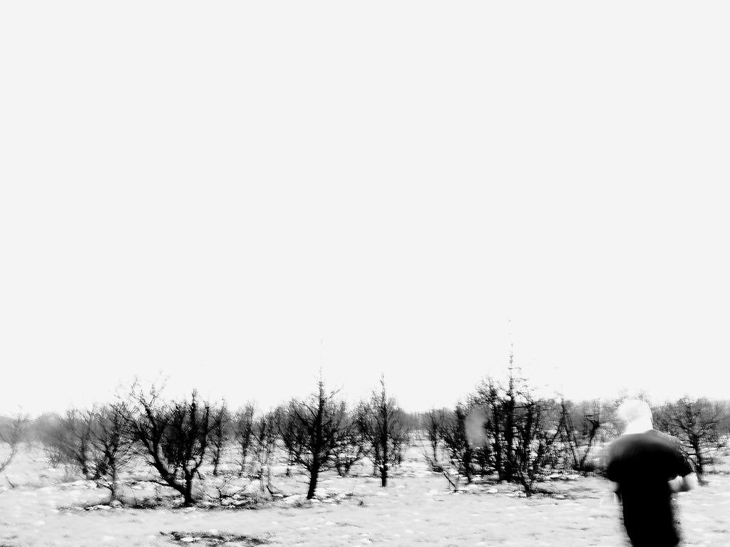 Survival and Adventure School ExtremeSurvive-普拉必去景点