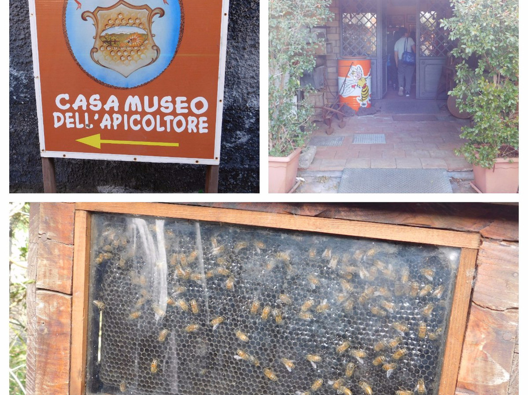 Casa Museo dell'Apicoltore e Vendita di Miele景点图片
