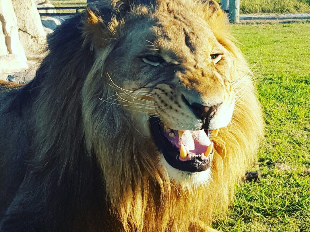 Caesar's Bush Palace-瓦尔沃特必去景点