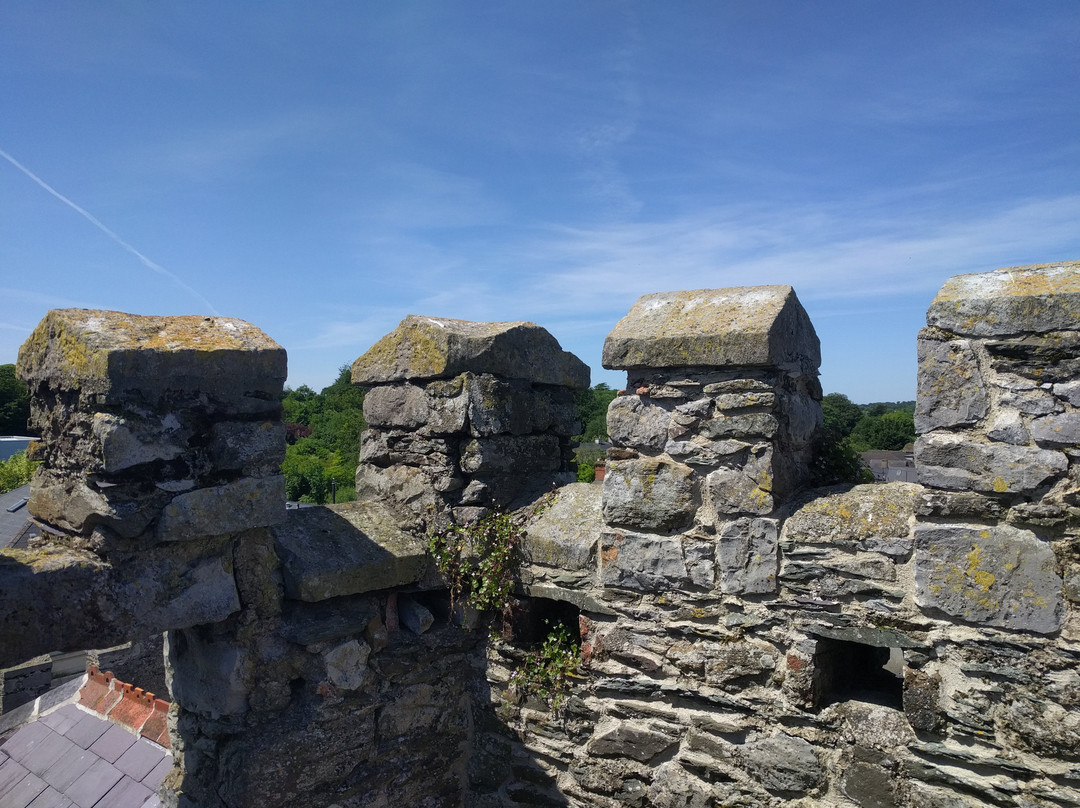 Hatch's Castle-Ardee必去景点