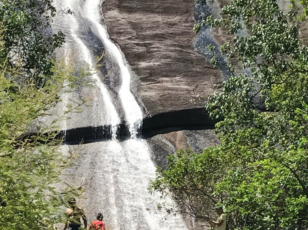 Canta旅游攻略图片