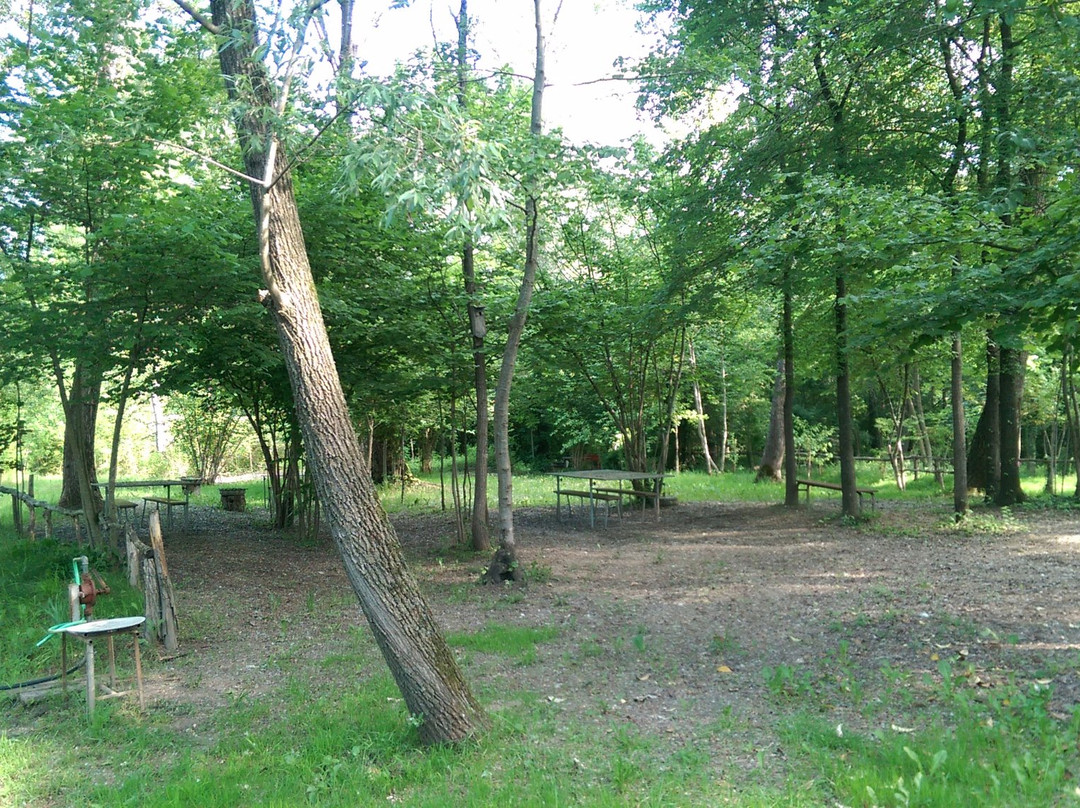 Parco del Piave景点图片