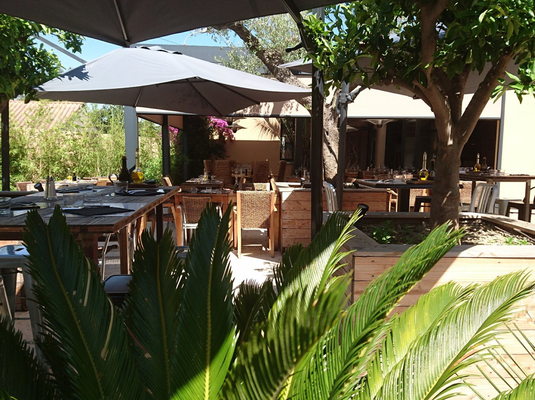 Restaurant Gaia