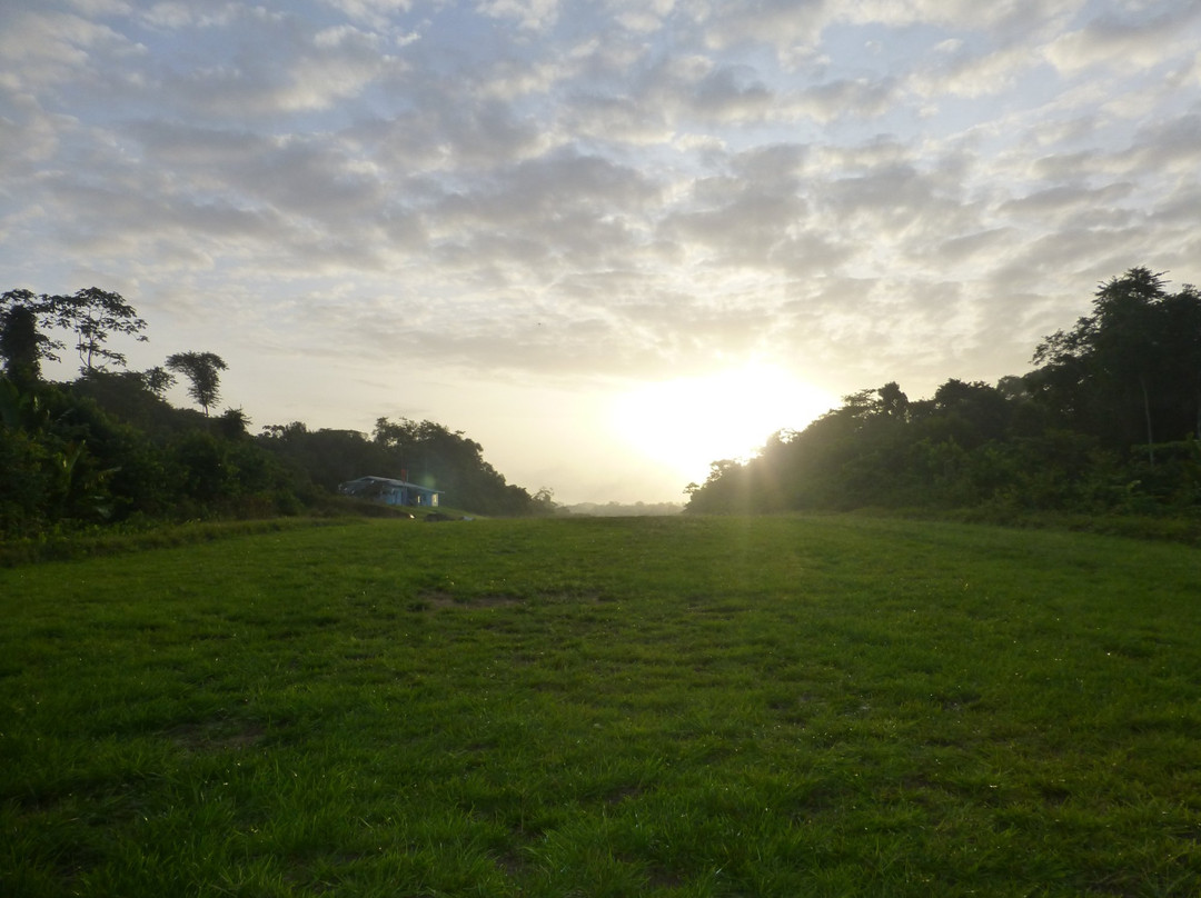 All Suriname Tours-帕拉马里博必去景点