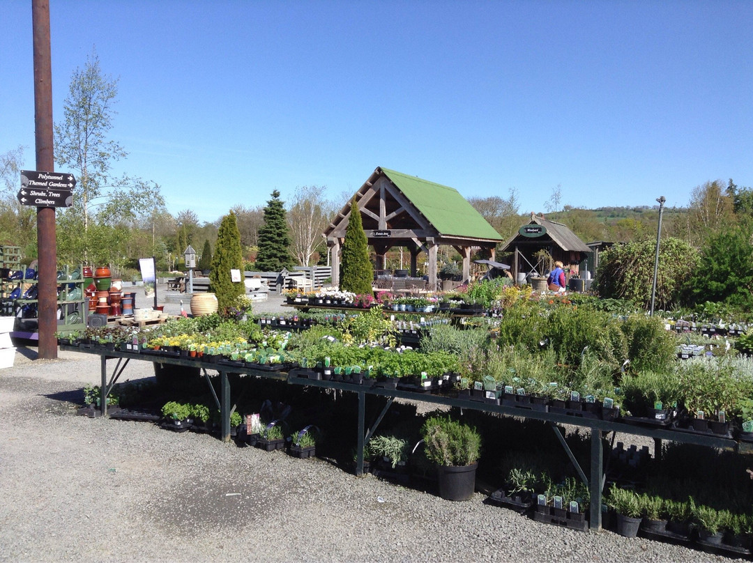 Derwen Garden Centre & Farm Shop景点图片