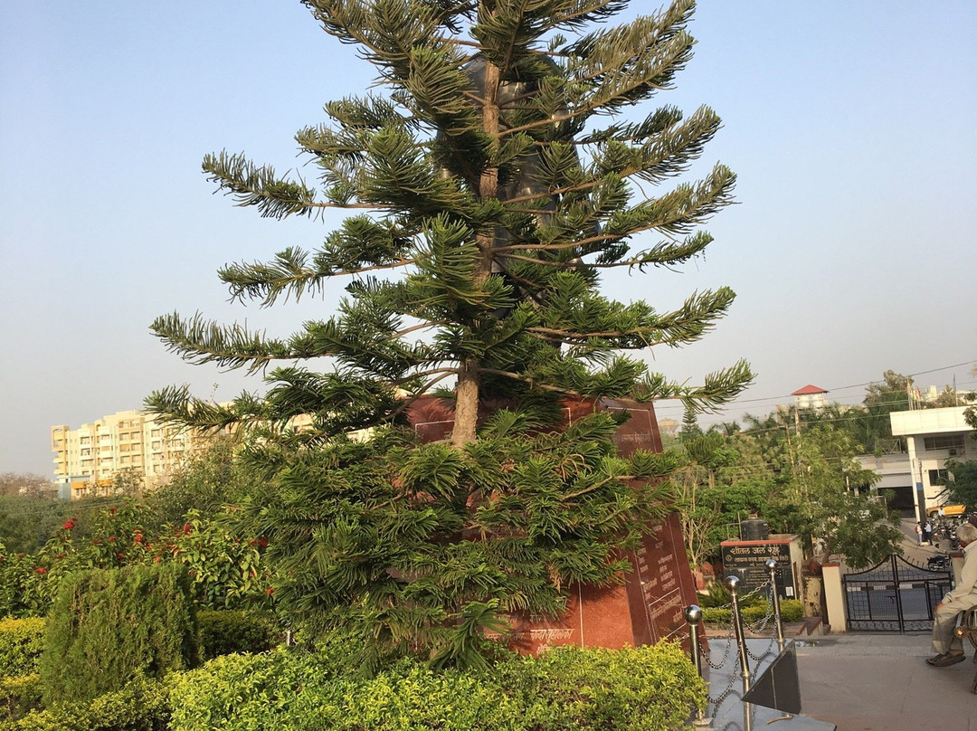 Goverdhan Sagar Lake景点图片