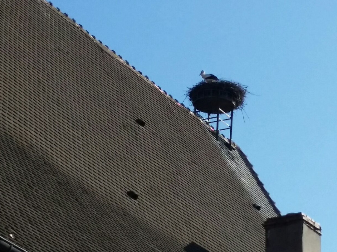 La Maison des Sorcieres景点图片