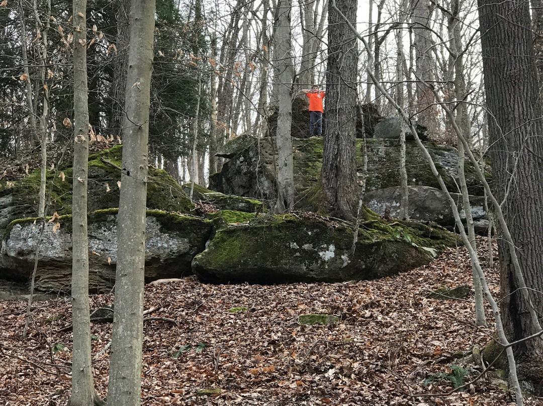 Wallace Hartman Nature Preserve-查尔斯顿必去景点