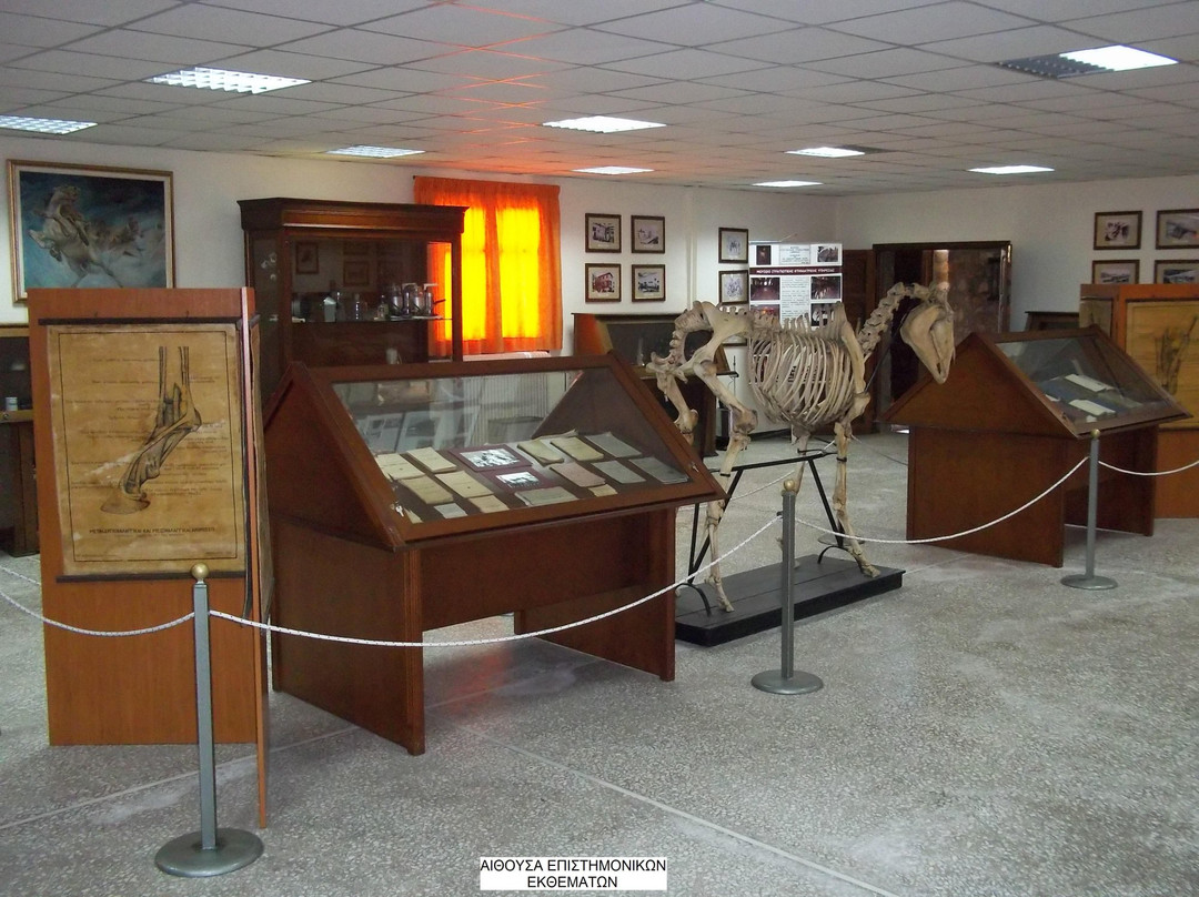 Museum of Military Veterinary Service-Larissa必去景点