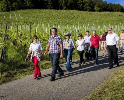 Winery Schwarz-Freienstein-Teufen必去景点