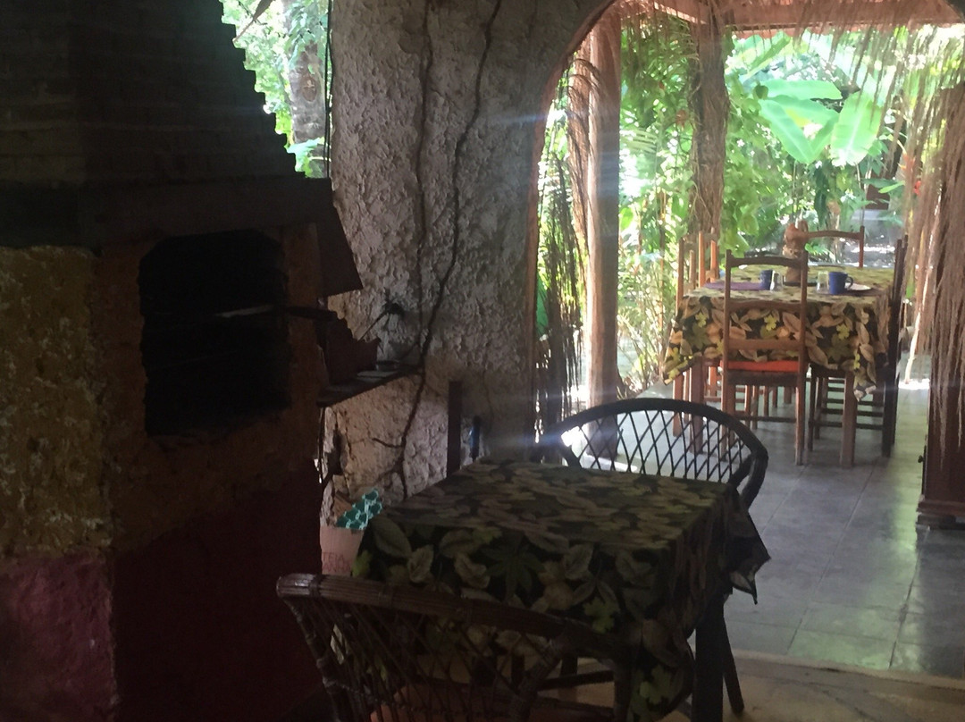 Zimbo Tropical主图