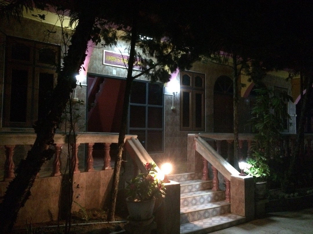 Harry's Trekking House主图