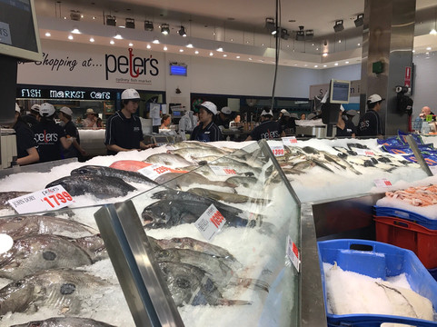 Behind the Scenes at Sydney Fish Market