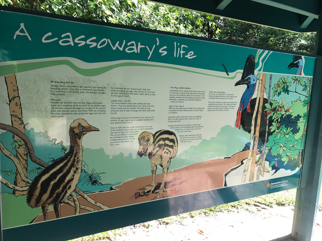 Djiru National Park-翁加灵海滩必去景点