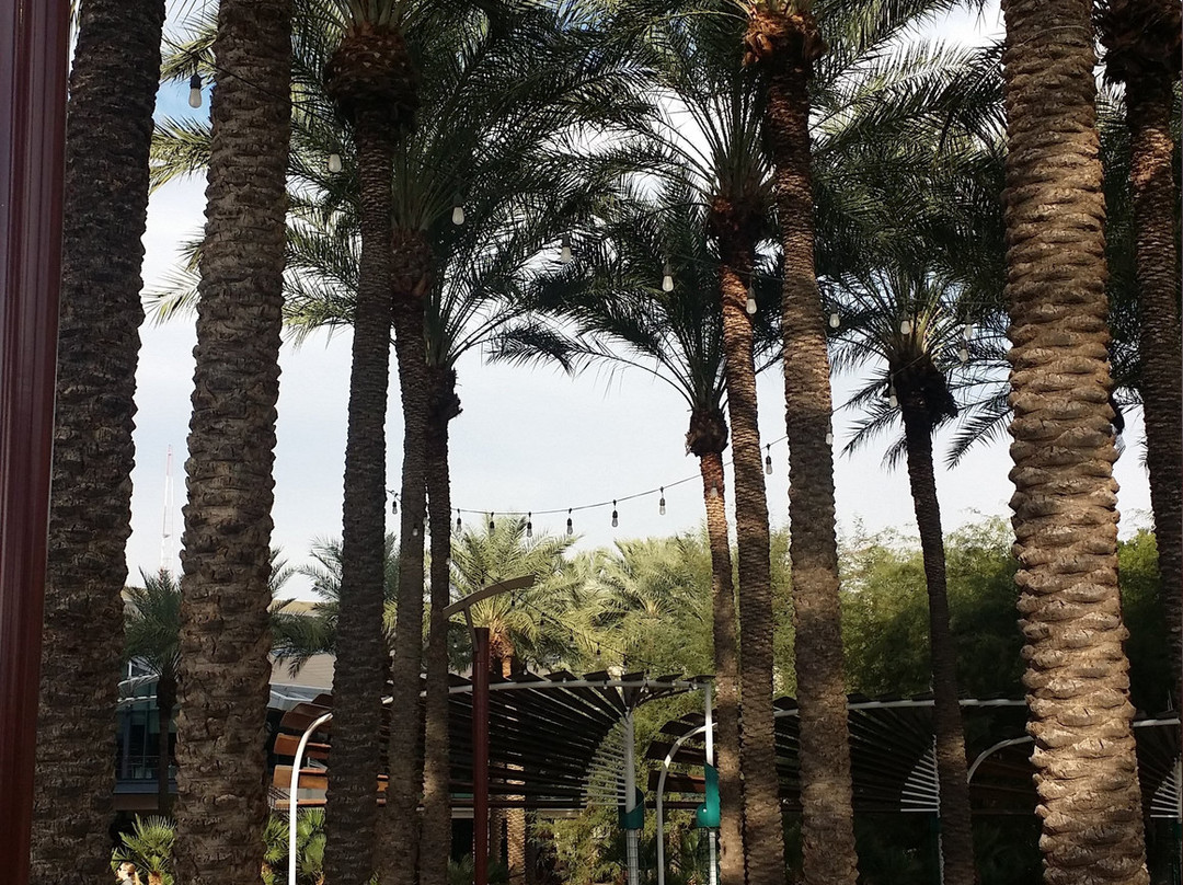 美国亚利桑那中心-凤凰城必去景点