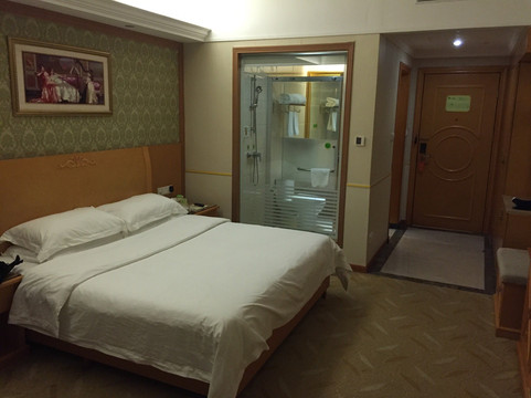 维也纳国际酒店(深圳坂田华为地铁站店)主图