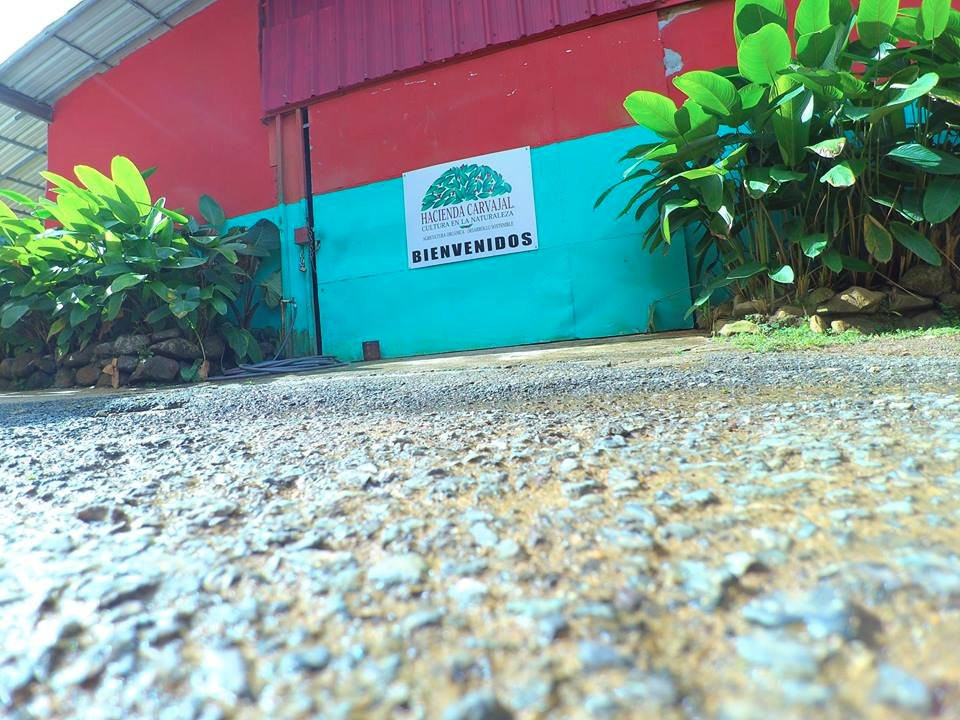 Hacienda Carvajal-Ciales必去景点