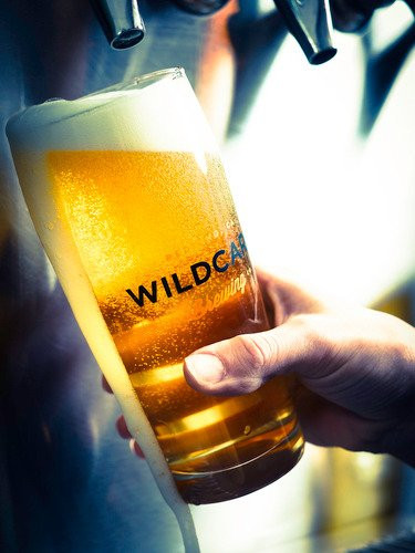 WILDCARD Brewing Company-雷丁必去景点