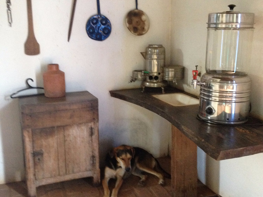 Coffee Museum-Tres Pontas必去景点