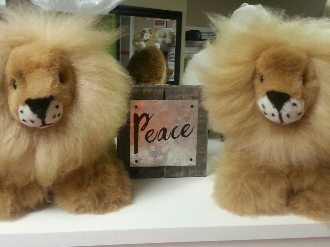 Fox Wire Farm Alpacas-Toano必去景点