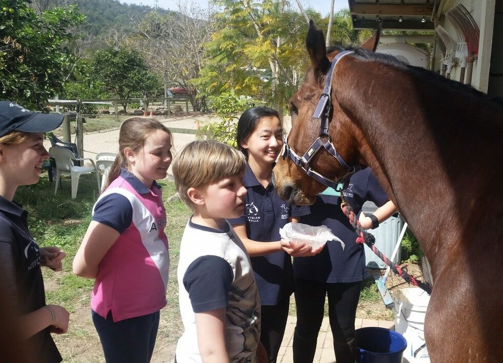 Wattle Creek Equestrian Centre-布里斯班必去景点