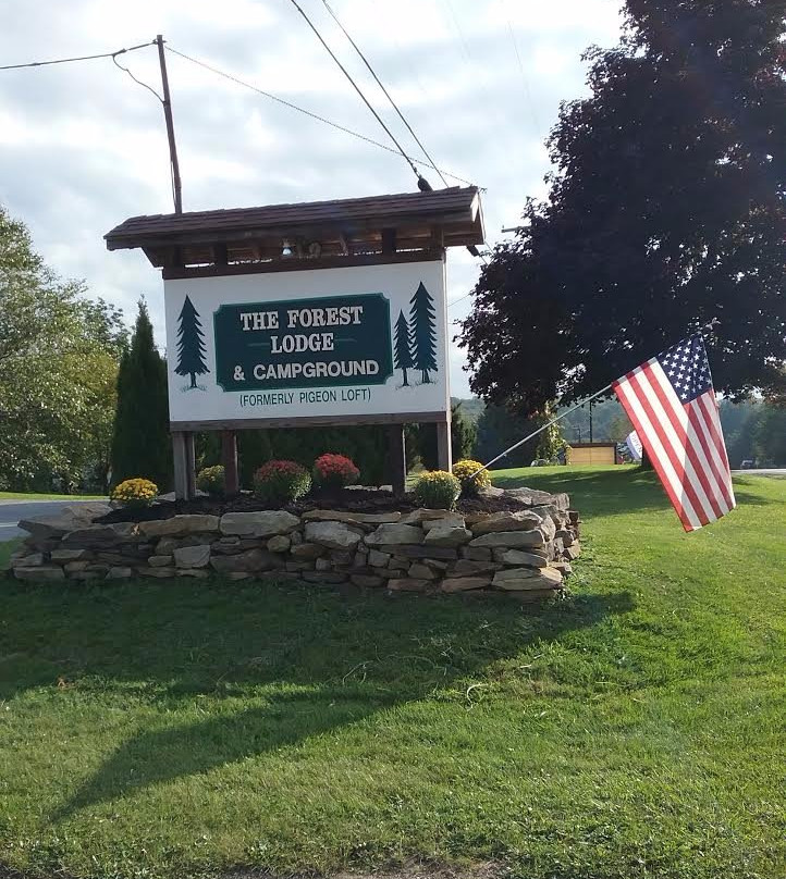 The Forest Lodge & Campground