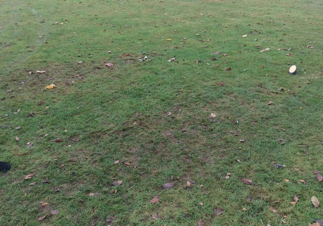 Whitefields Golf Club-拉格比必去景点