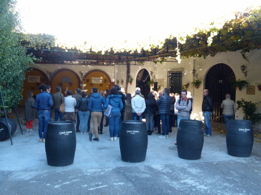 Bodegas Cruz Conde景点图片