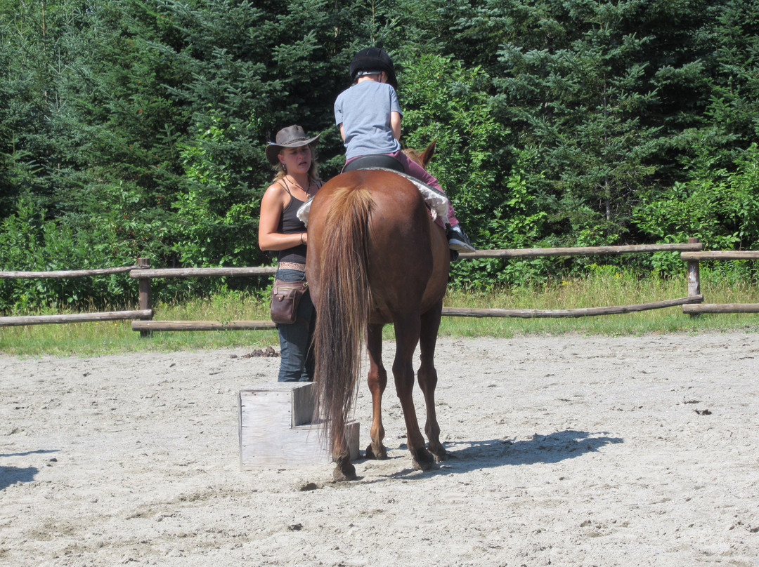 Centre Equestre Le Vent du Sud-Piopolis必去景点