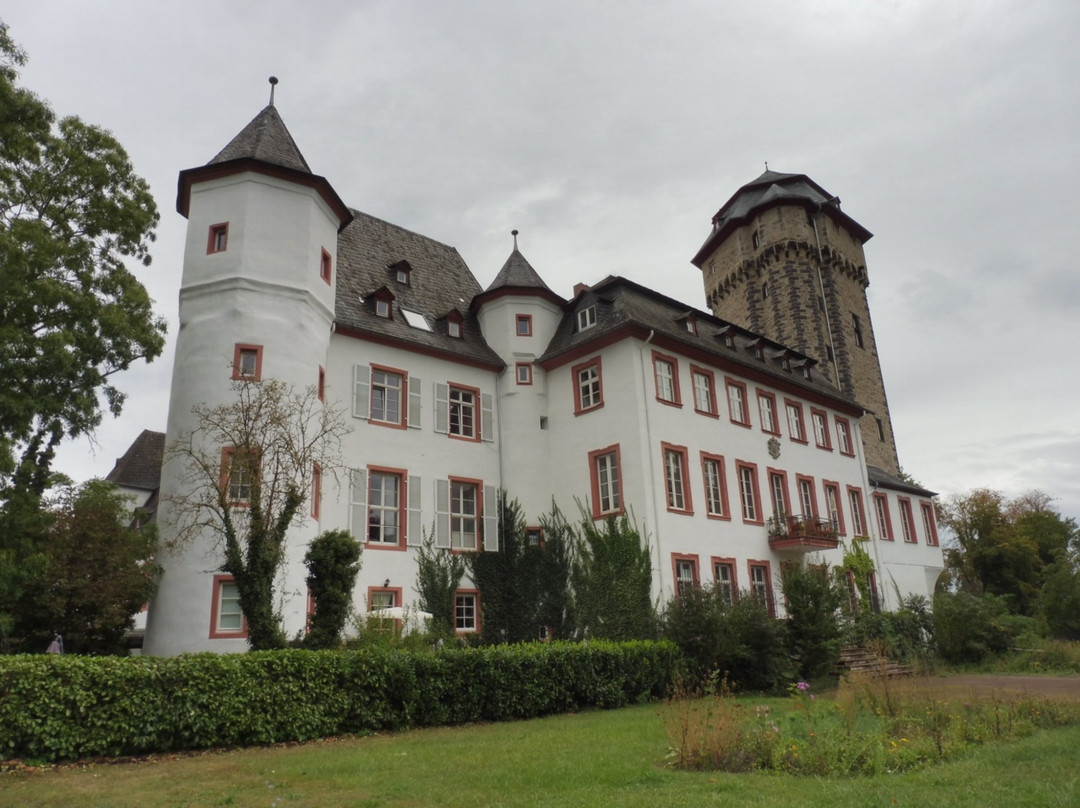 Schloss Martinsburg景点图片