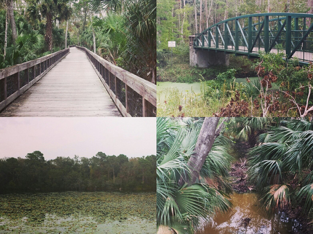 Graham Swamp Preserve-棕榈海岸必去景点