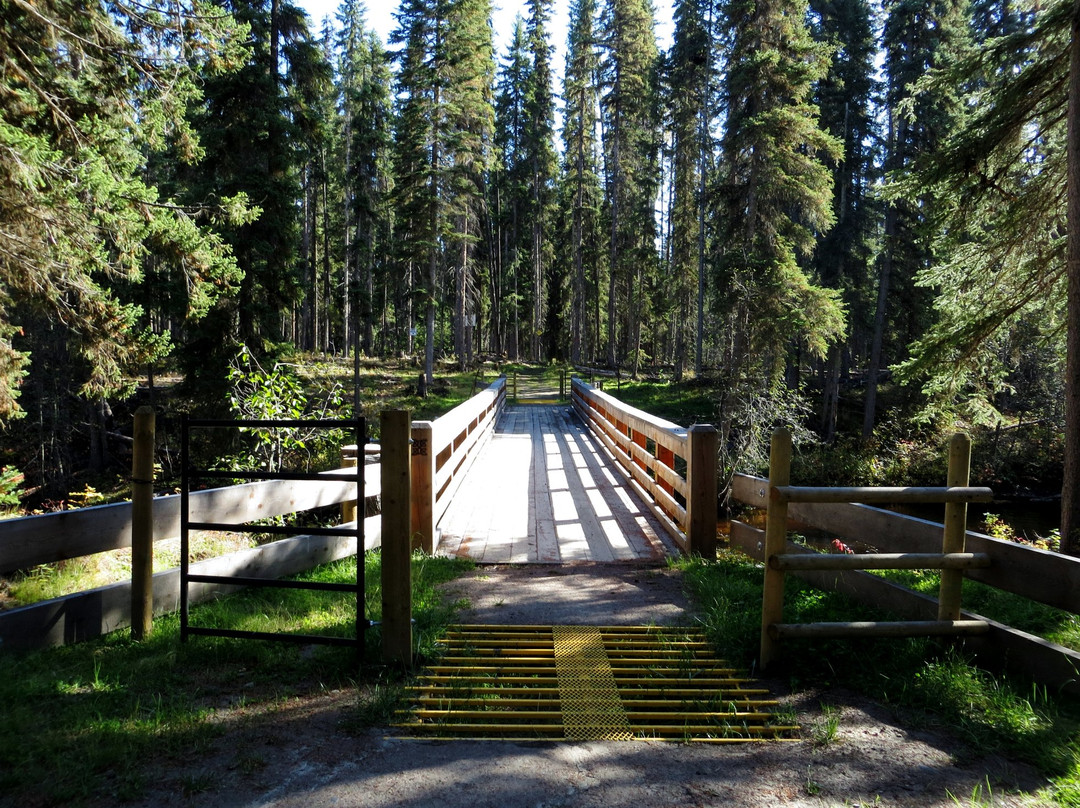Moffat Falls-Horsefly必去景点