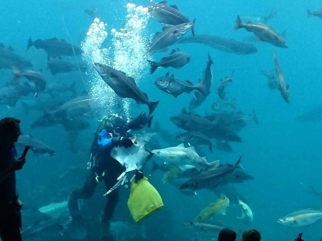 Atlantic Sea Park景点图片