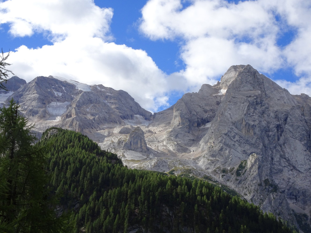 Ente Parco Nazionale Delle Dolomiti Bellunesi景点图片