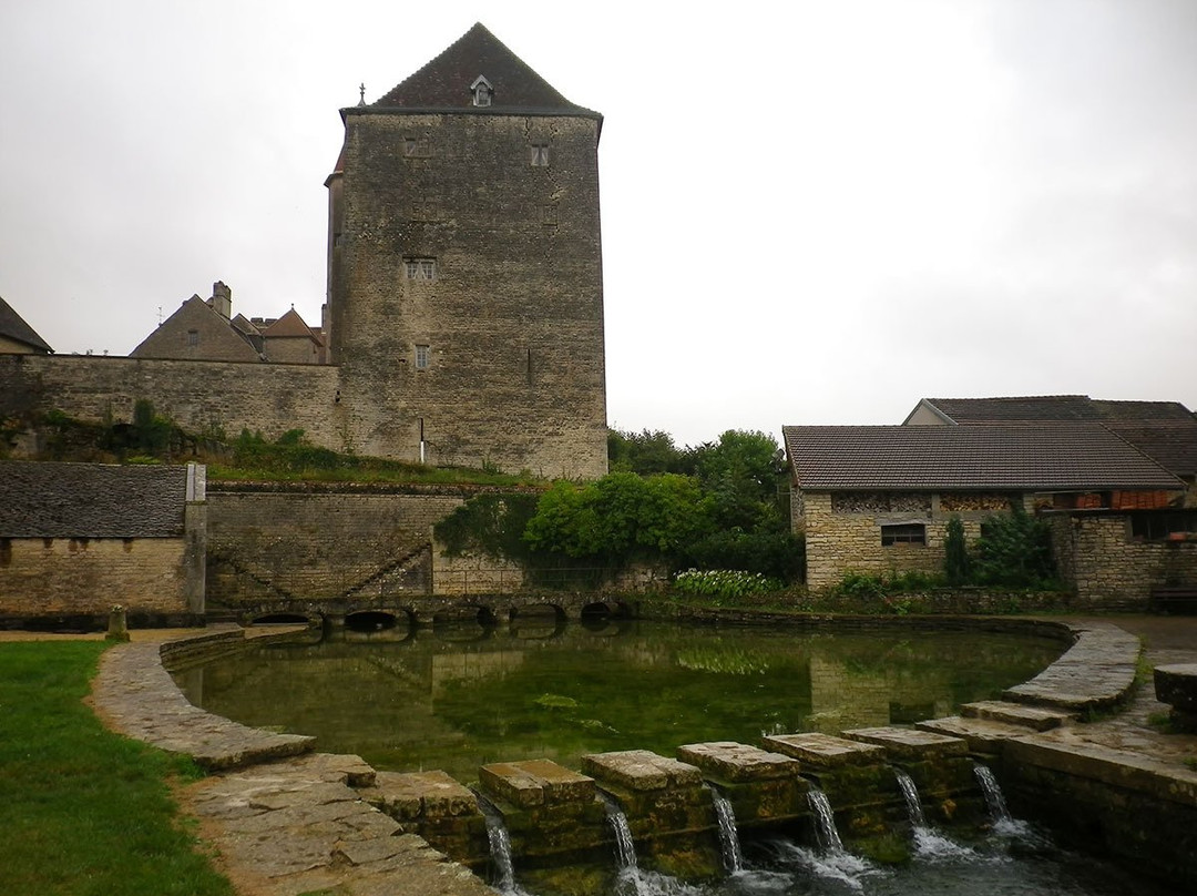 Château de Fondremand景点图片