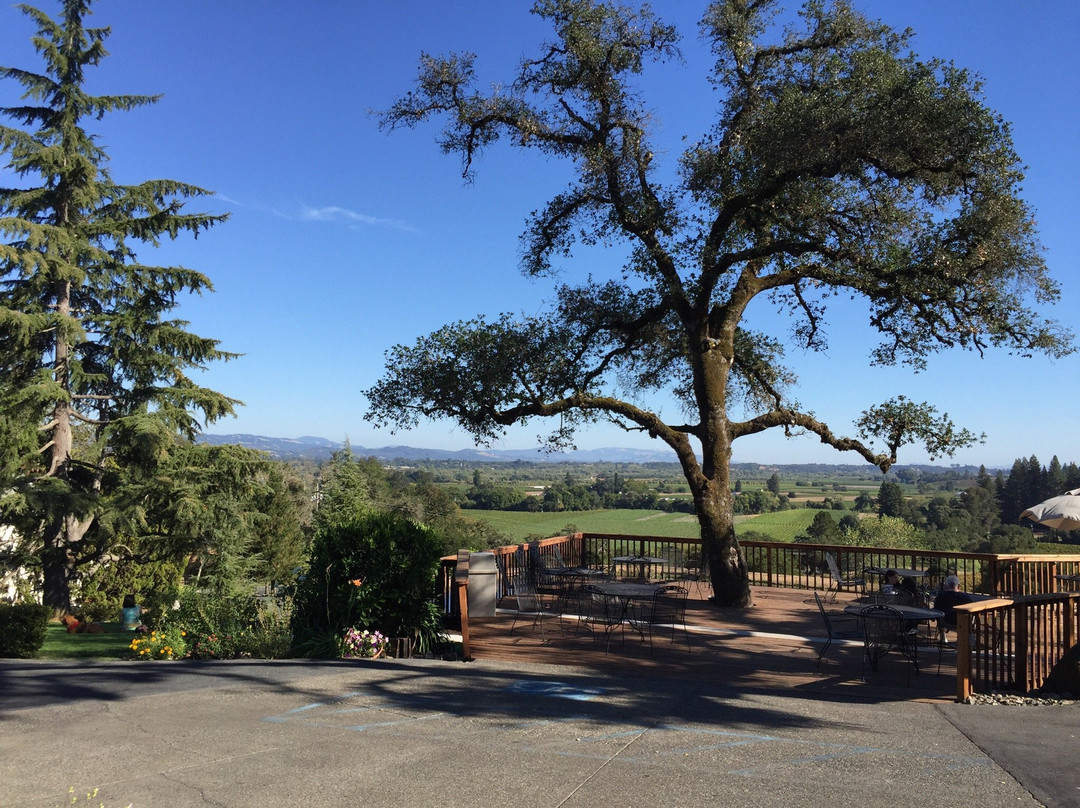 Overshine Wine Co.-希尔兹堡必去景点