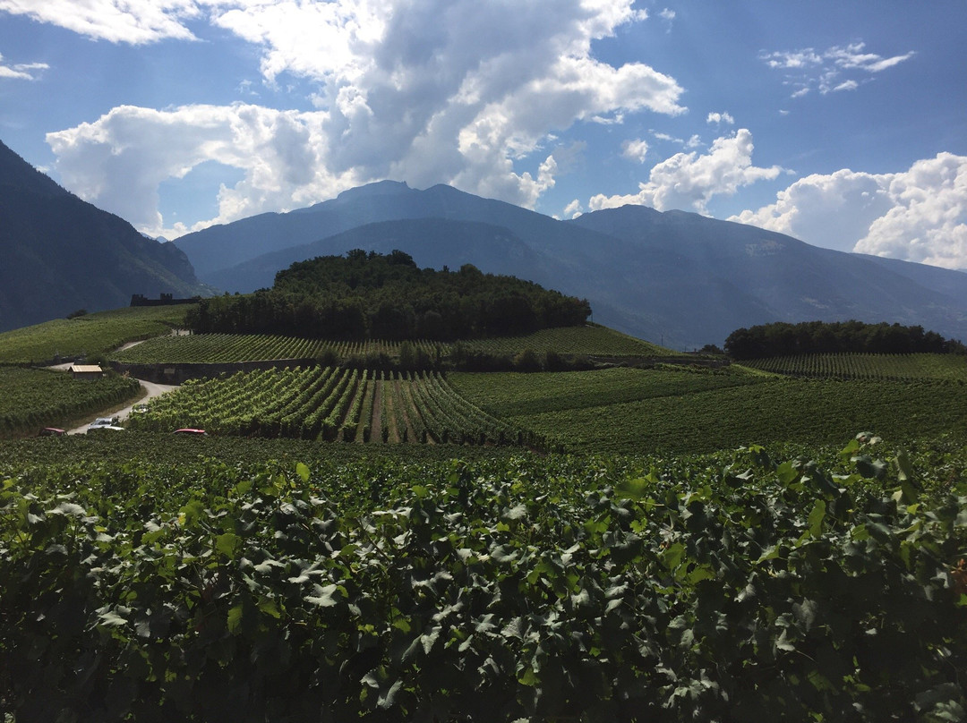 Vineyards Trail-谢尔必去景点