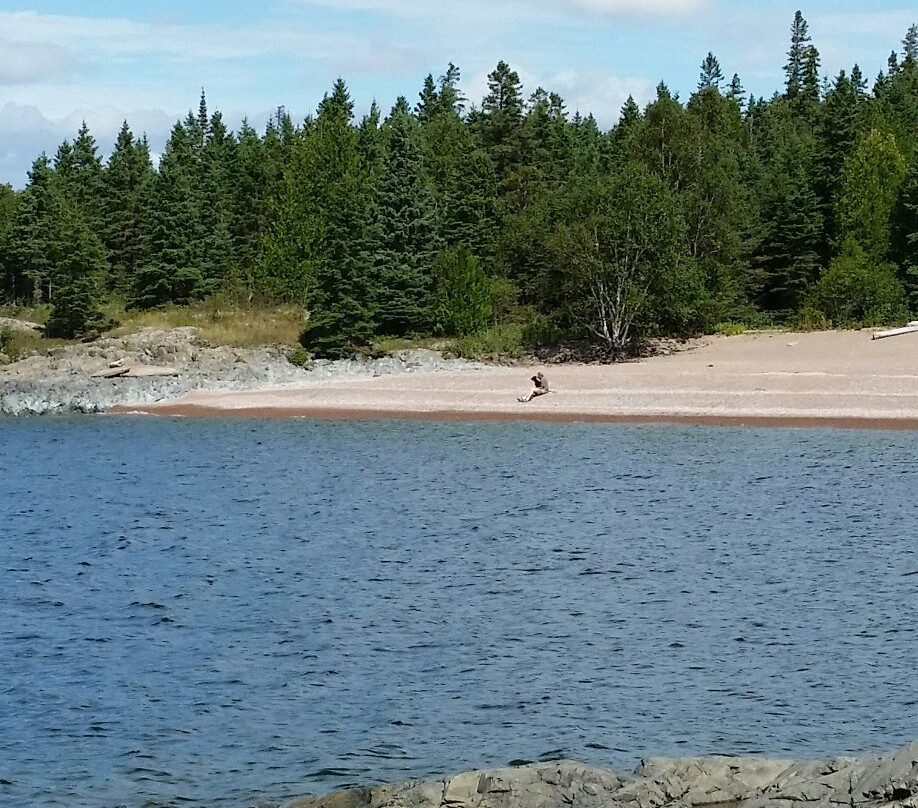 Government Dock Beach-Wawa必去景点