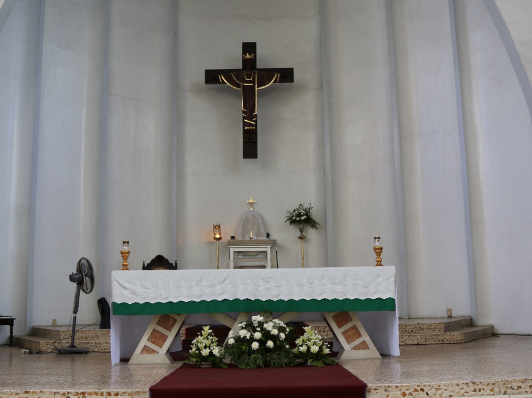 The Immaculate Conception Parish景点图片