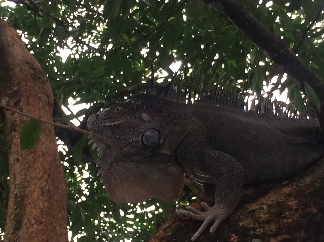 Mowglitours-托图杰多必去景点