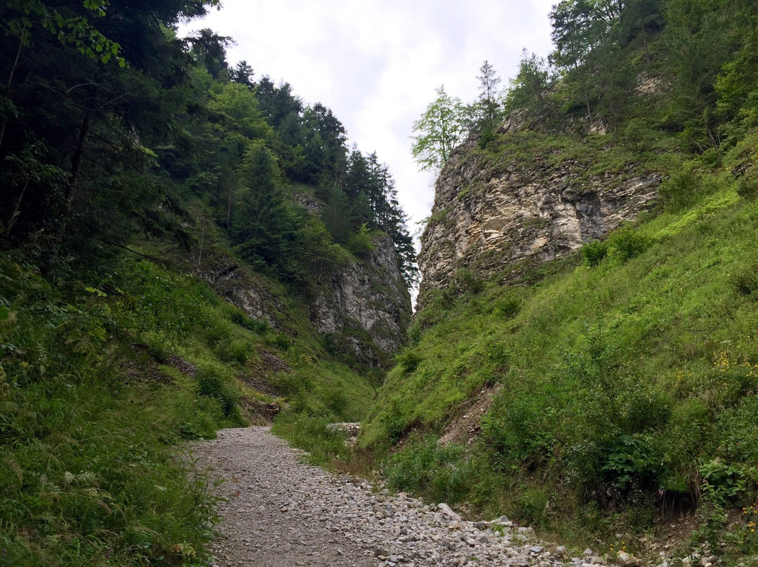 Szopczanski Gorge景点图片