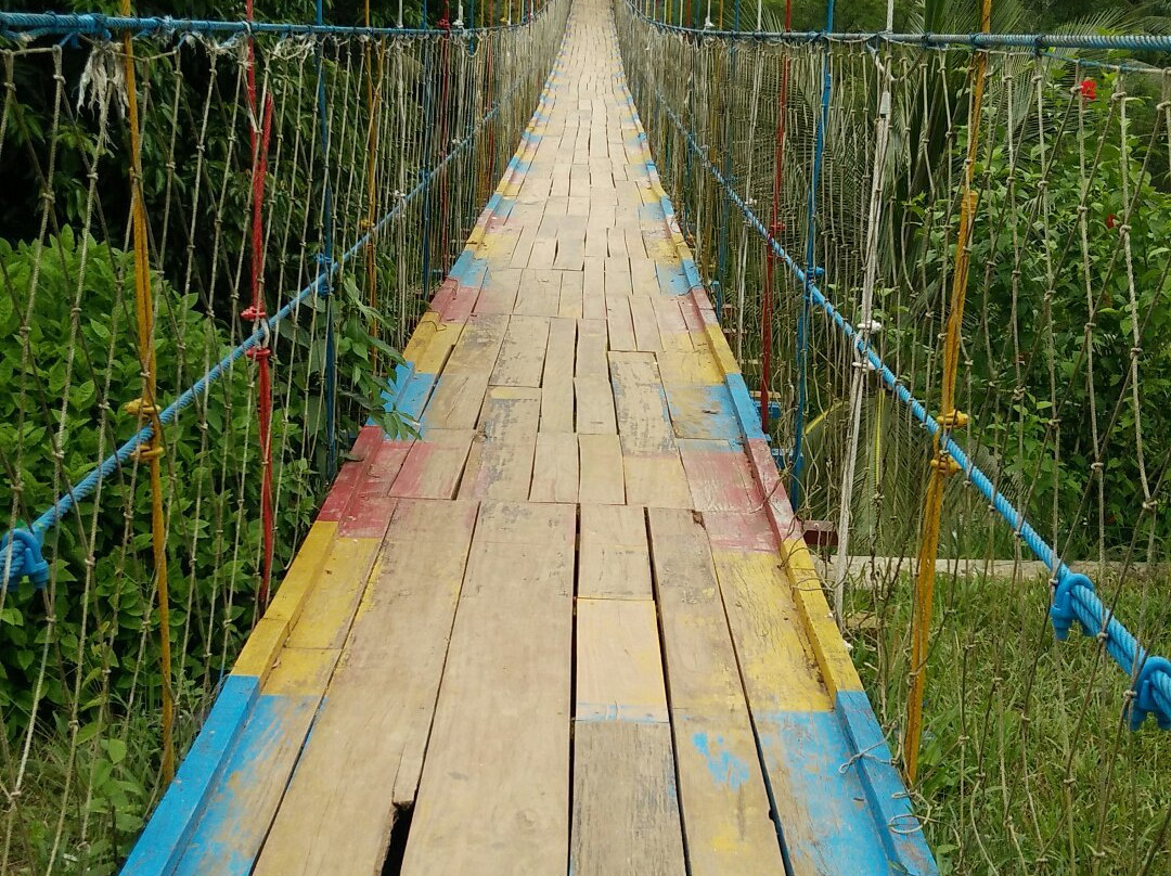 Hanging Bridge景点图片