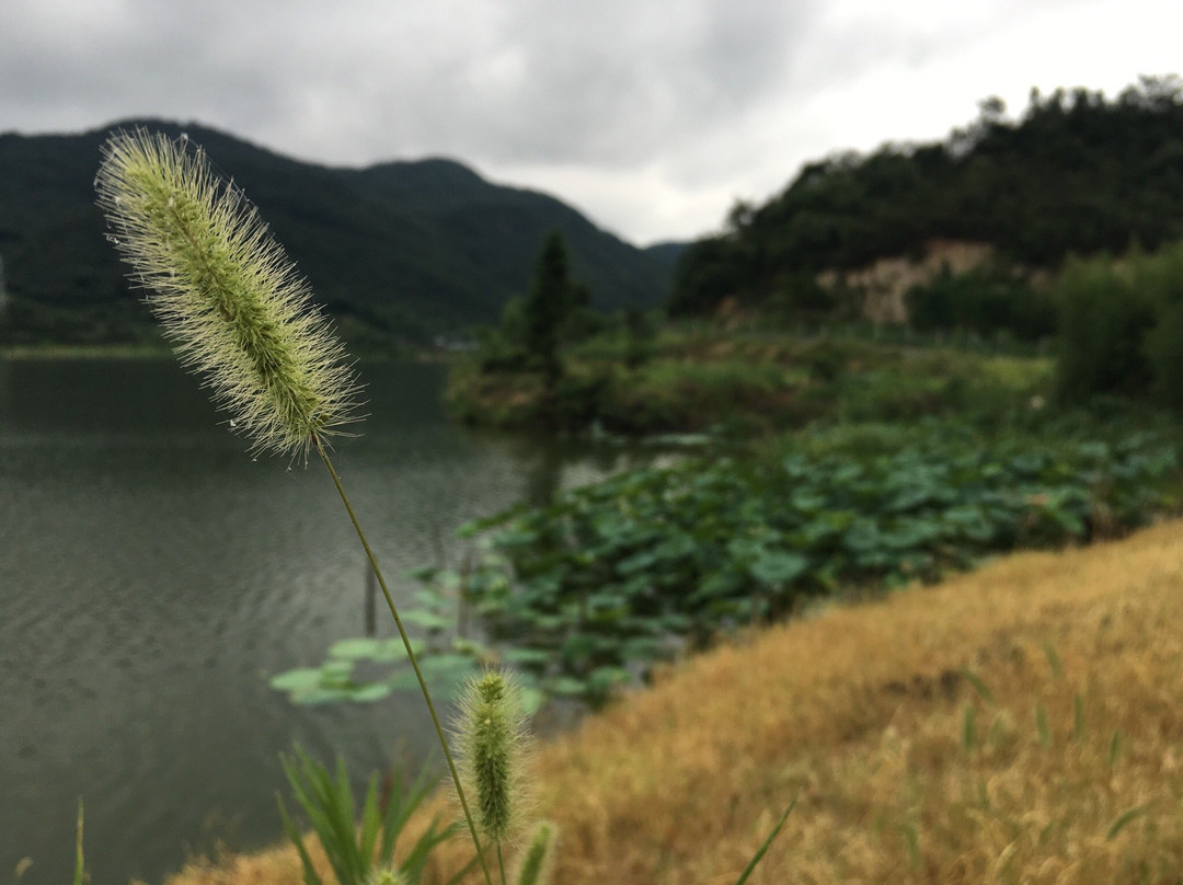 绍兴东山-上虞市必去景点