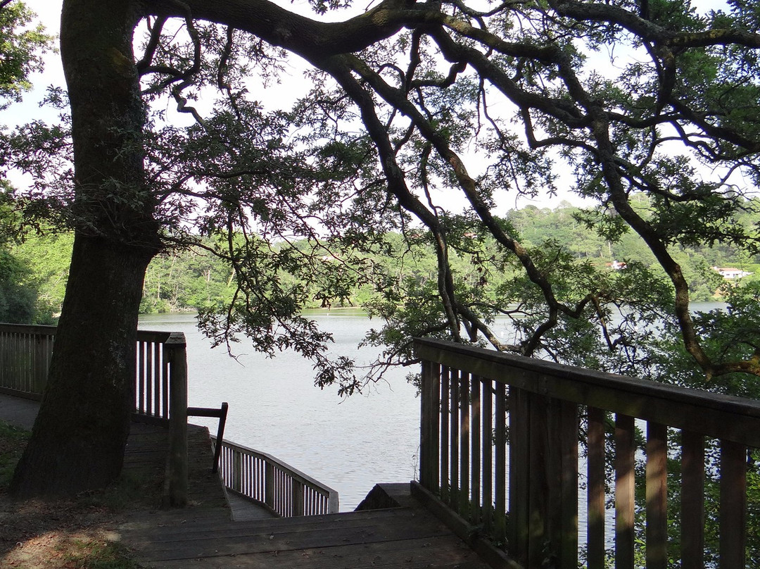 Lac Mouriscot景点图片