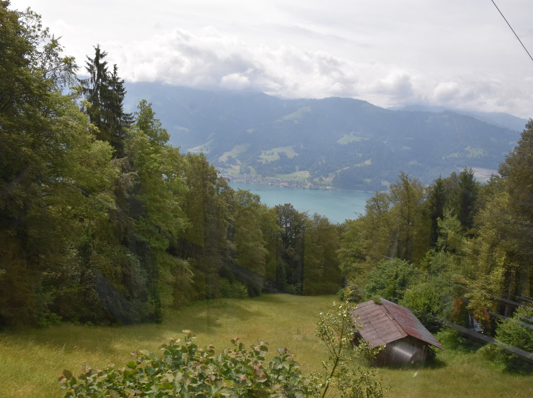 Trotti-Bike Niederhorn-贝阿滕贝格必去景点