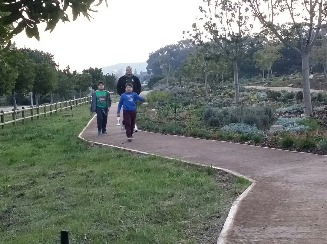Jack Muller/ Danie Uys District Park, City Of Cape Town-Bellville必去景点