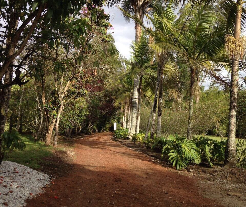 Llanogrande Colonial Hotel Boutique主图