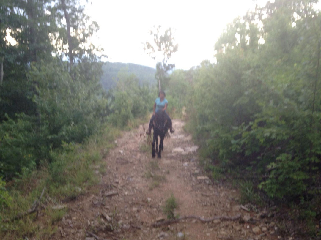 Fort Mountain Stables-Chatsworth必去景点