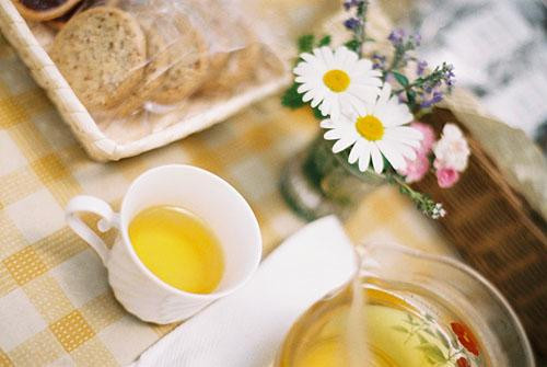 Nasu Herb Honey Garden-那须町必去景点